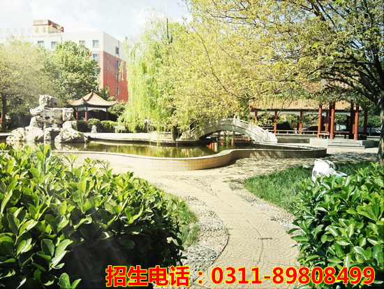 jingmao2.jpg