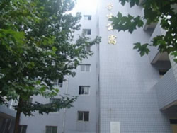 bdnzj6.jpg