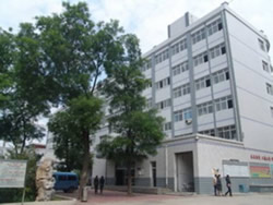 bdnzj5.jpg