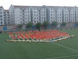 bdnzj2.jpg