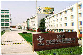 jjxx10.jpg