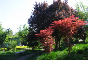 sjzgc1.jpg